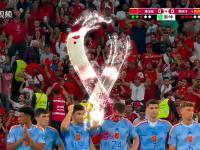 1xBit体育链接-关于哥斯达黎加主场战胜希腊，欧洲杯资格渐近的信息