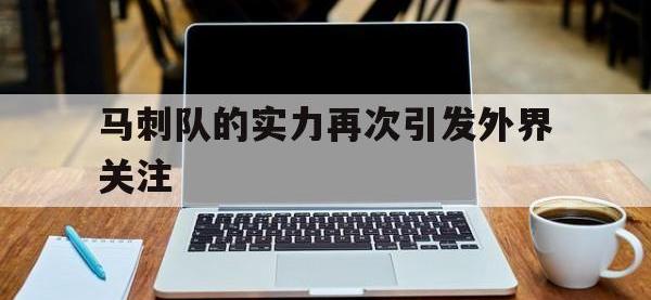 马刺队的实力再次引发外界关注的简单介绍
