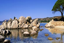 1xBit体育app下载-阿尔艾因冲击季军，年轻球员表现亮眼的简单介绍