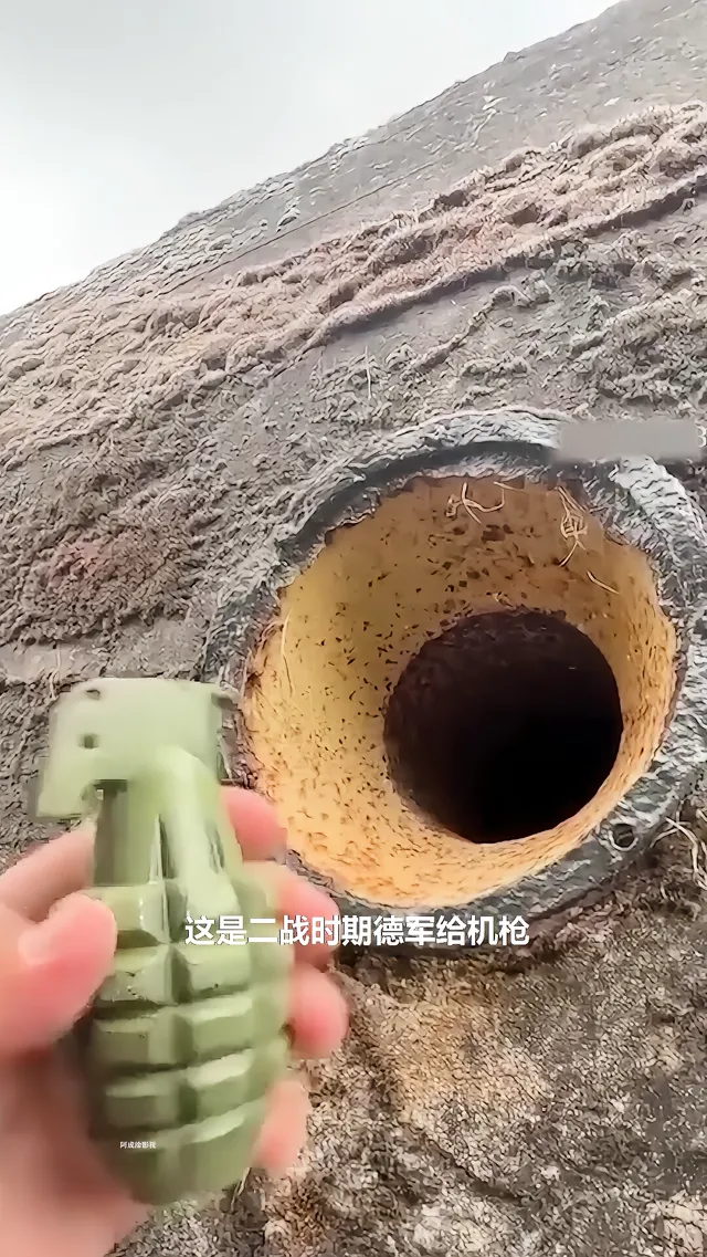 德国告捷摆脱陷阱,取得胜利 德国告捷摆脱陷阱,取得胜利